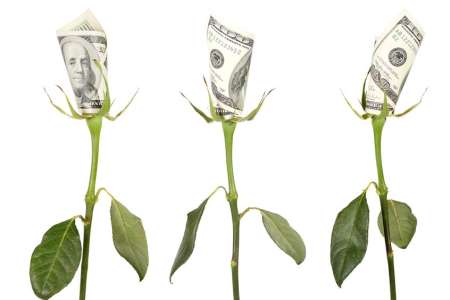 $100 bills depicted as rose buds