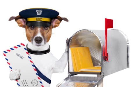 Dog dressed as postal worker next to mailbox