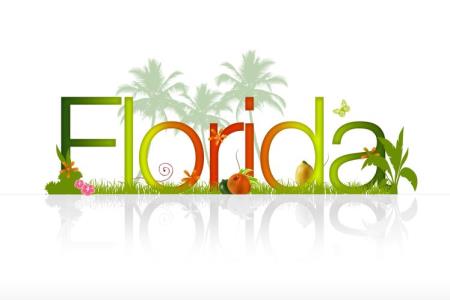 Home improvement grants in Florida